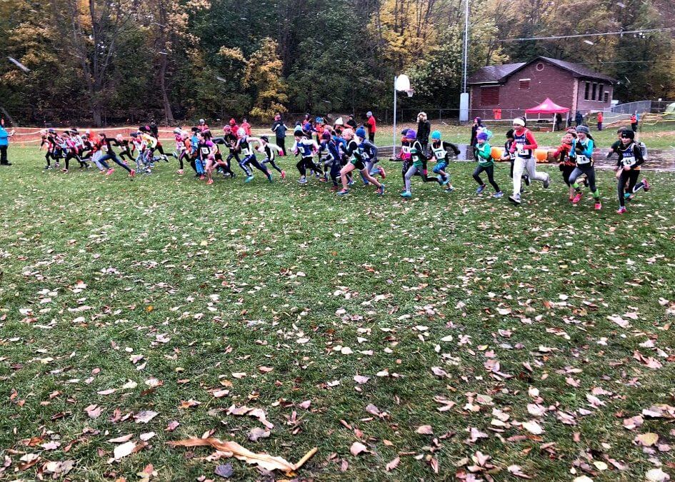 Athletes at the start line of the 2019 cross country championships in Meaford, ON.